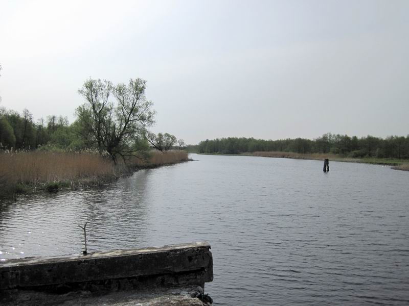 Река Ржевка. Вид со взорванного моста в Громово