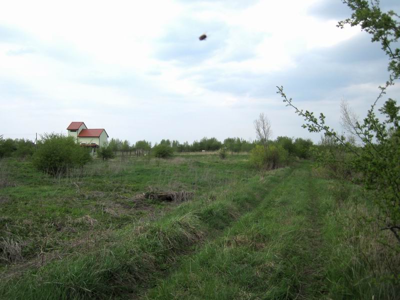 Подъезжаем к насосной станции на реке Шлюзовой. В объектив фотоаппарата попал НЛО