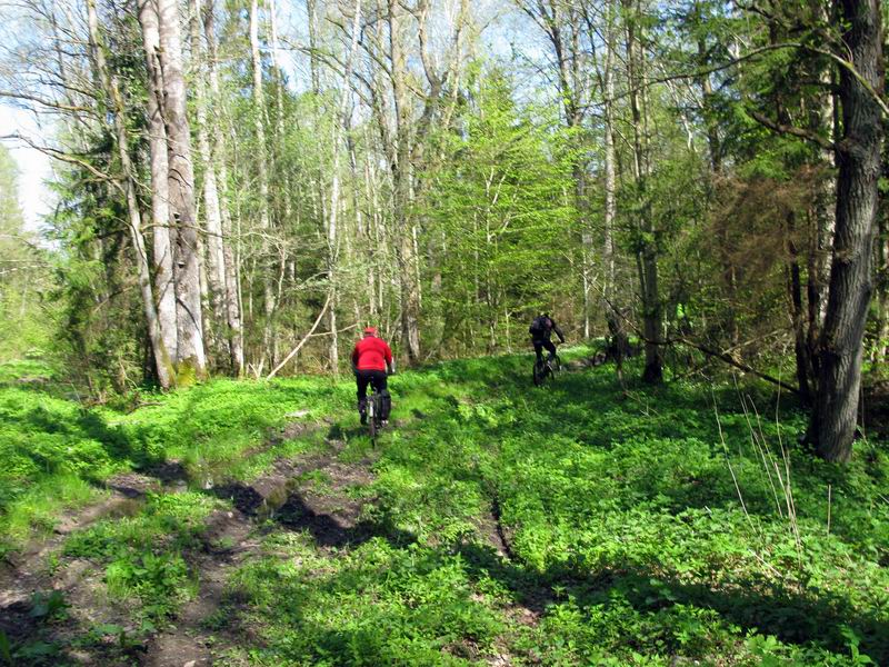 В некоторых местах рейтинг дороги очень низкий.