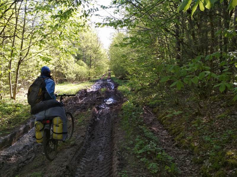 Попытка найти короткую дорогу из Пушкарёво.