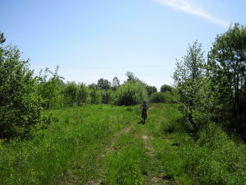 Едем параллельно Преголе