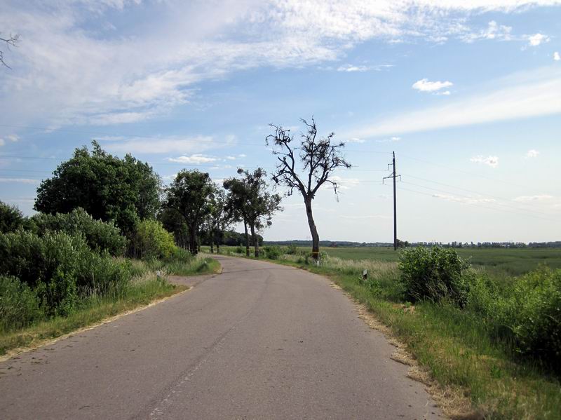 Красивая дорога на Заречье