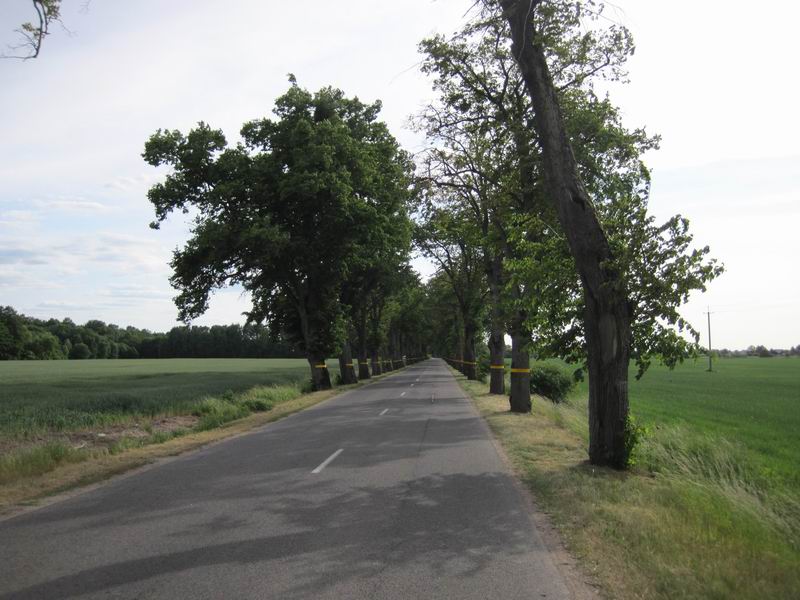Зареченская трасса