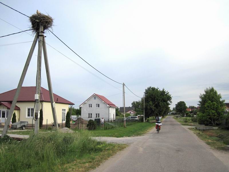 Аист в Малинниках