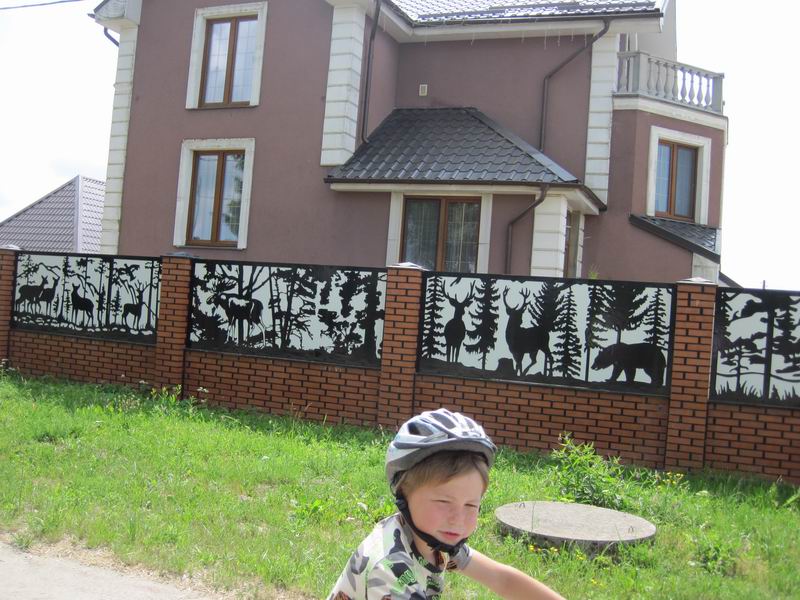 Найдите тут лося