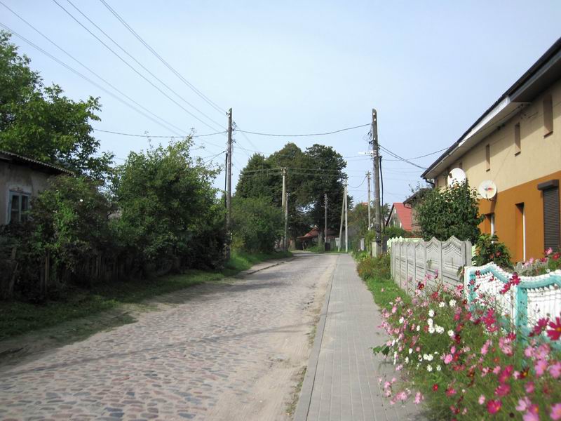 Улица Центральная в Синявино