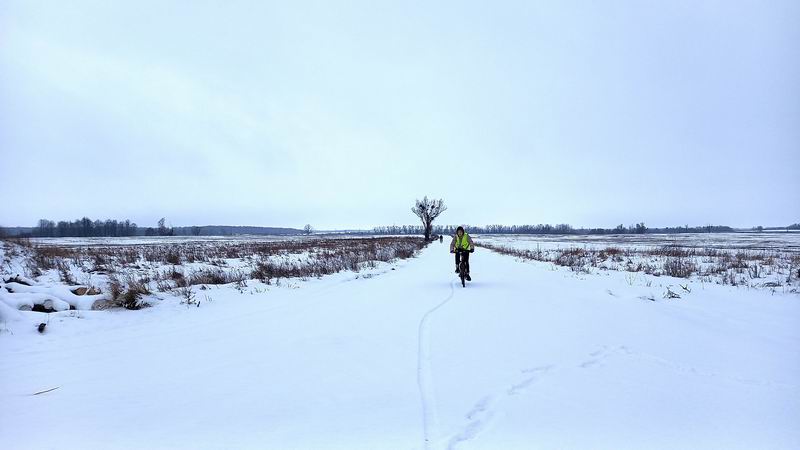 Грунтовая дорога от Костромино к третьему шлюзу