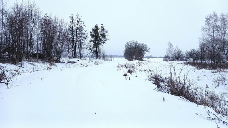 По этому участку дороги, начали пешеходить