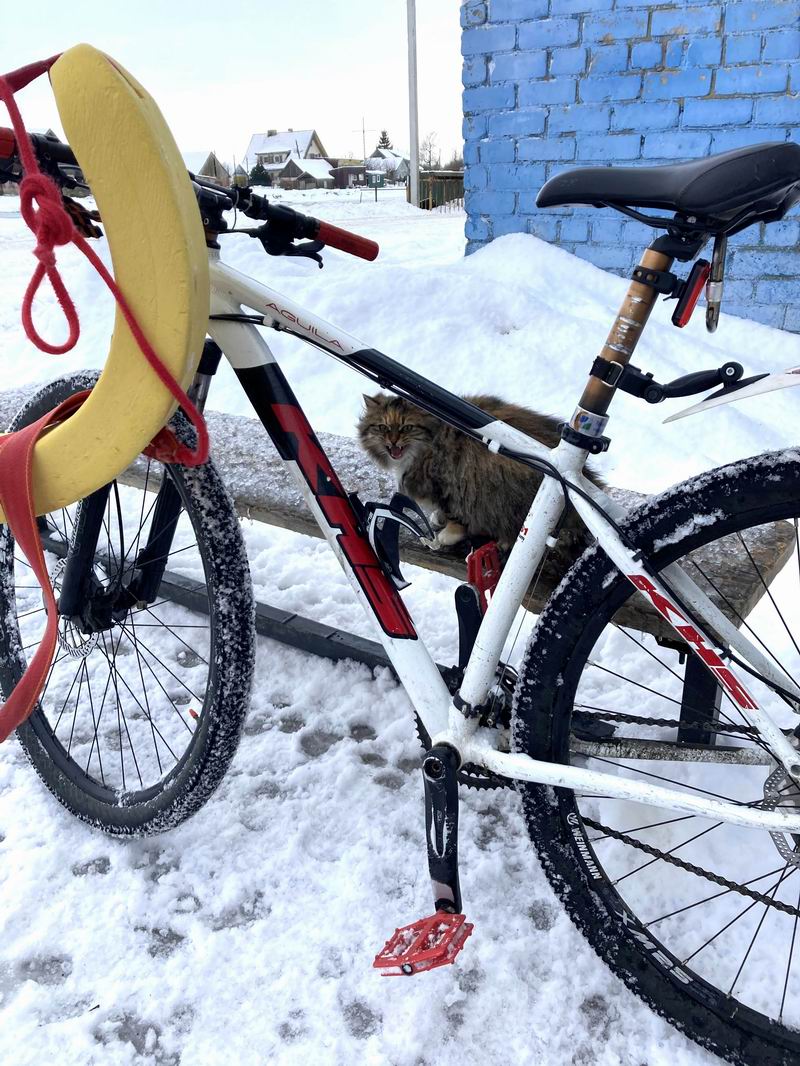 Велокот у магазина в Причалах