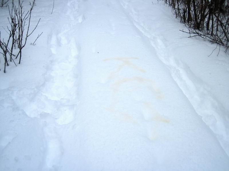 Оставили надпись на снегу