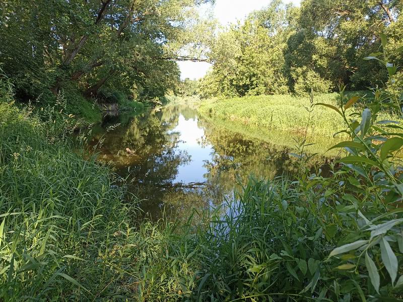 Анграпа