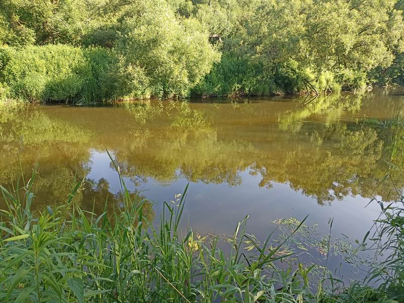 Водичка манит купаться
