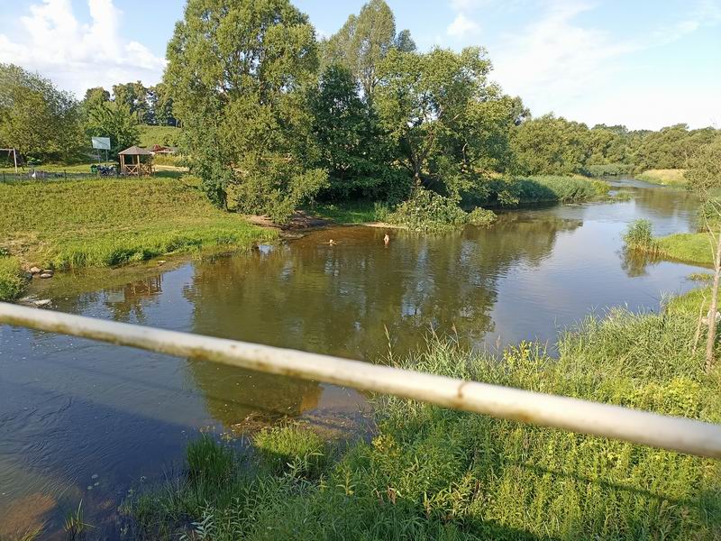 Дамы купаются в Краснополянском