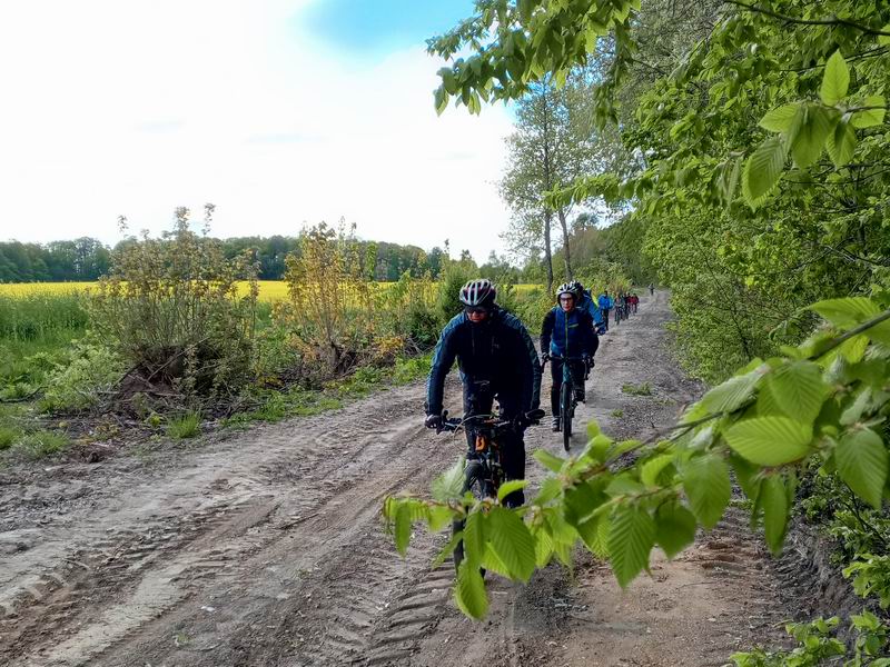 Выехали с поля на центральную дорогу.