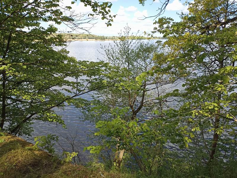 Правдинское водохранилище