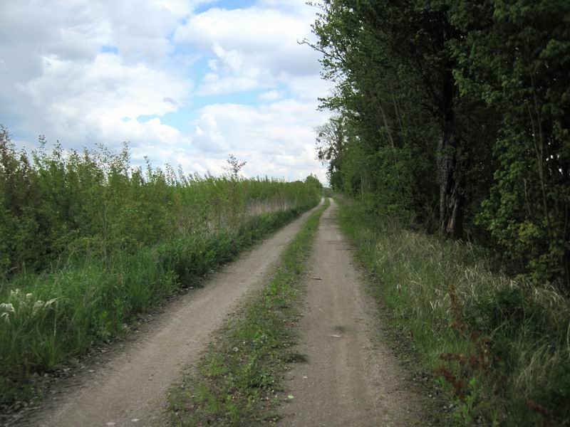 Классная скоростная грунтовка