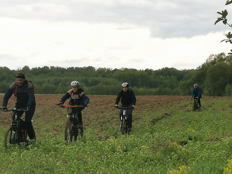 Едем по краю поля вдоль опушки леса