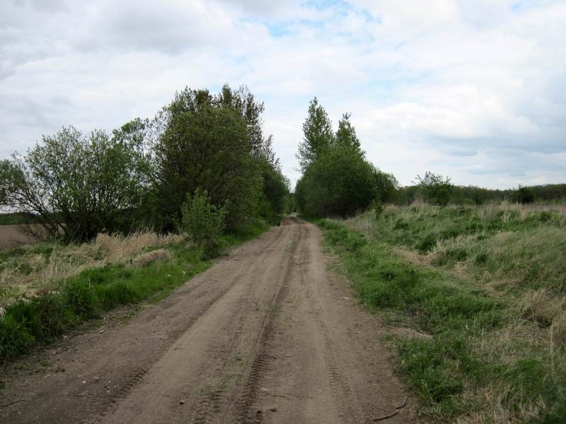 Снова едем по грунтовке