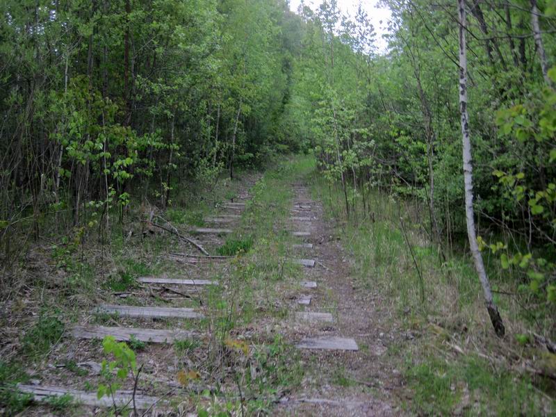 Свернули на подъездной путь к бывшей базе ГСМ. Едем по шпалам