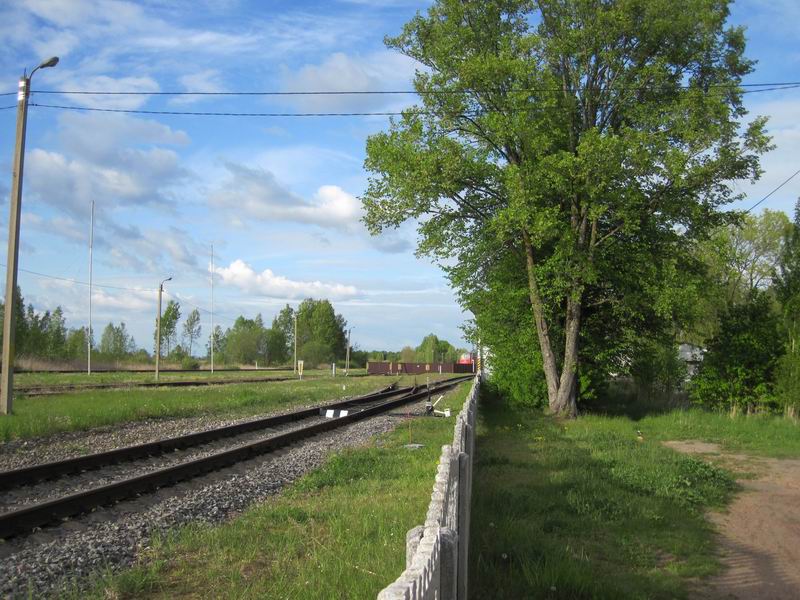 Железная дорога и забор перед ней в Красновке