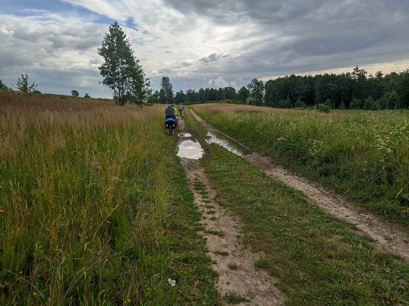 Единственная лужа на дороге от Рогового