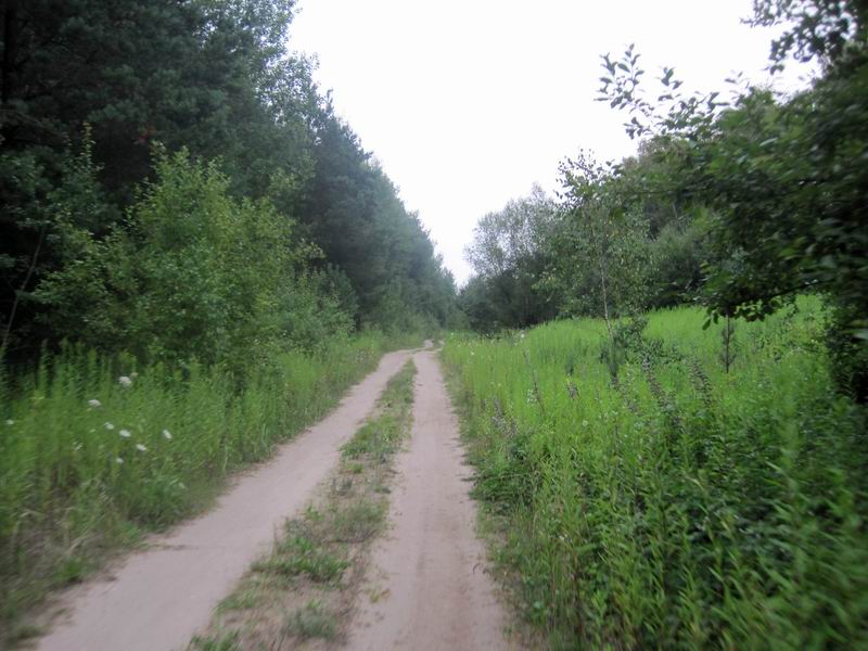 Далее пошла вполне приличная грунтовка
