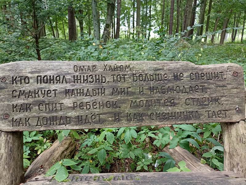 Скамейка в Гресовском лесу