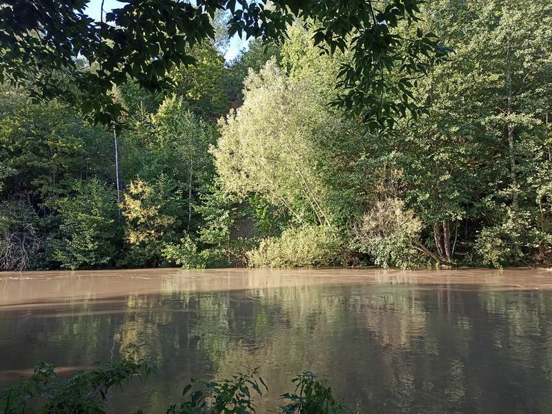 Вода как кофе с молоком+1.5метра