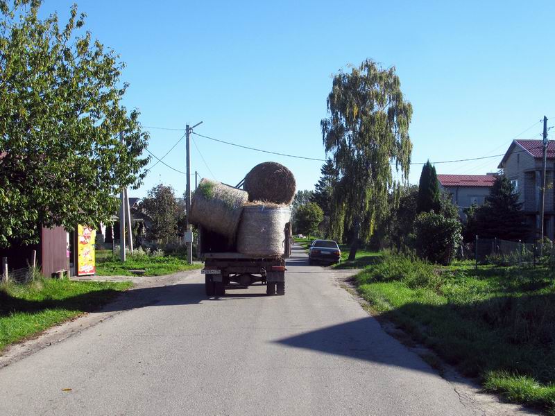 Грузовик с сеном впреди.