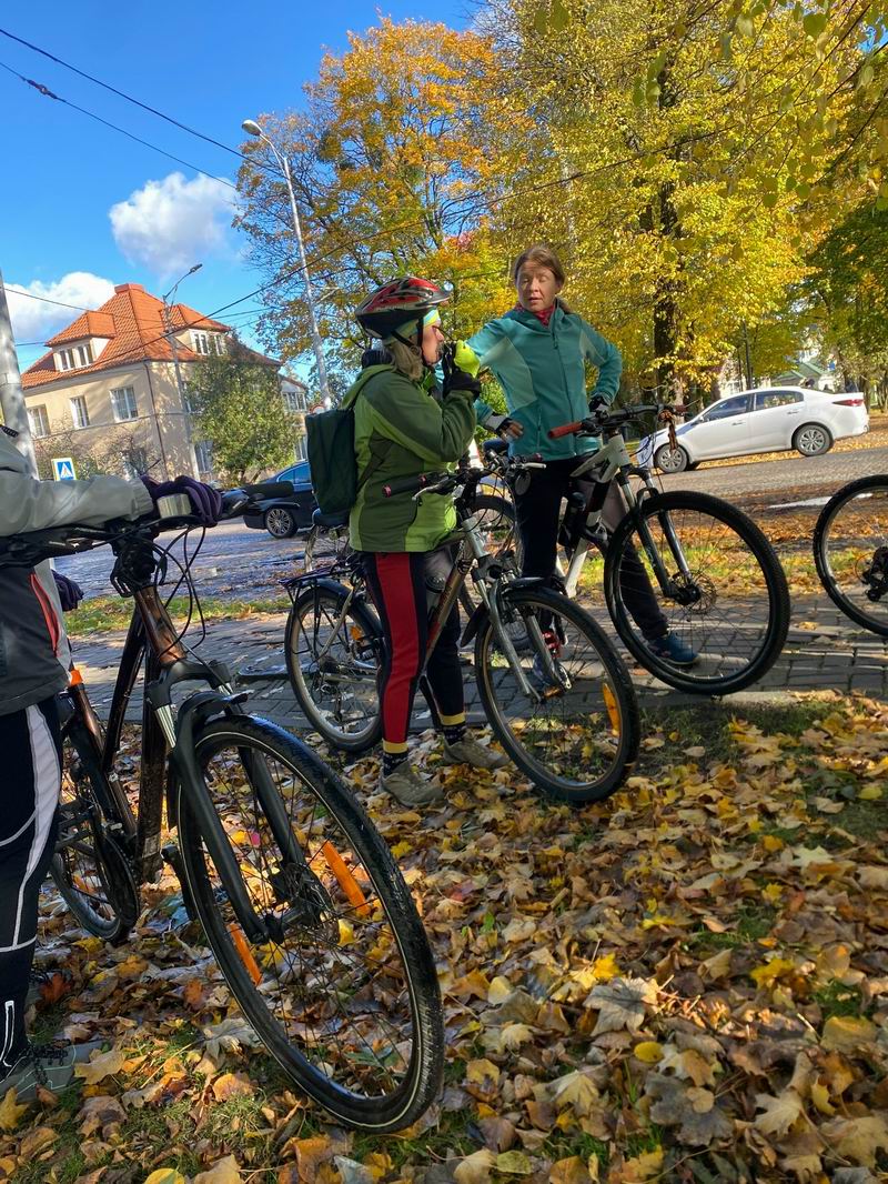 Золотая осень