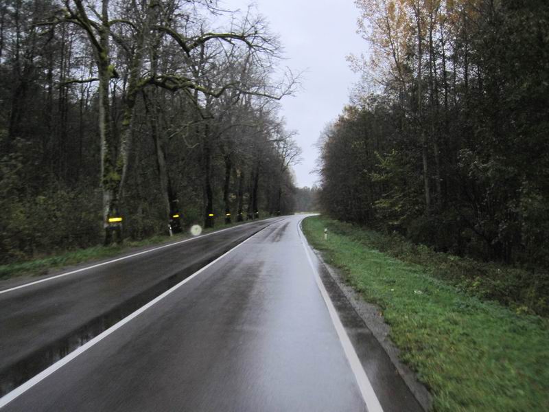 Проезжаем по опушке Полесского леса перед Шолохово