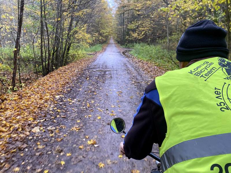 Едем по Полесскому лесу