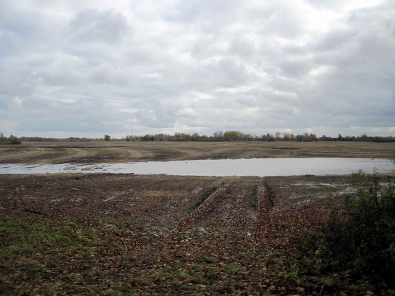 Пейзаж с большой лужей