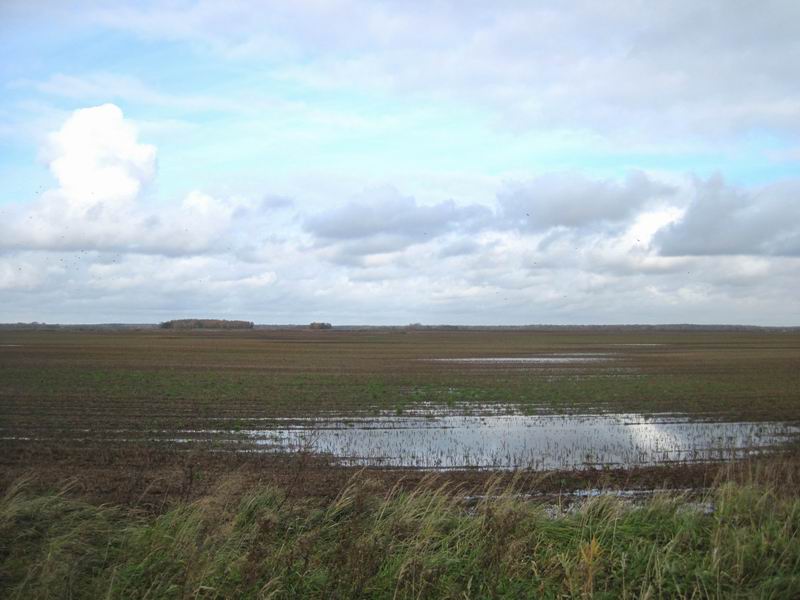 Ещё один пейзаж