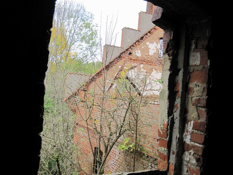 Вид из окна