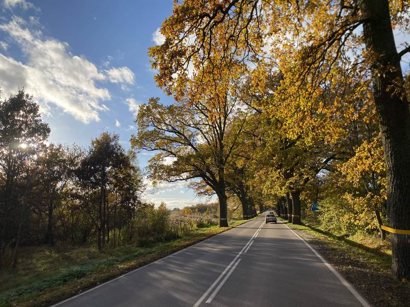 Красивая дорога в Правдинск