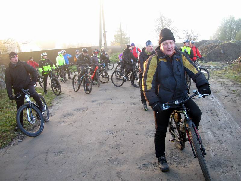 Ричард Янкус & Co.