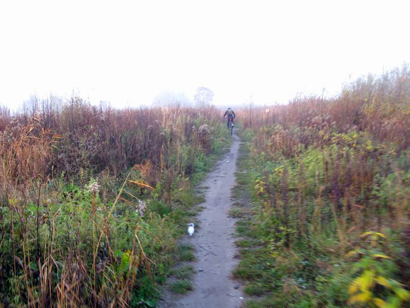 Дальше ехать можно.