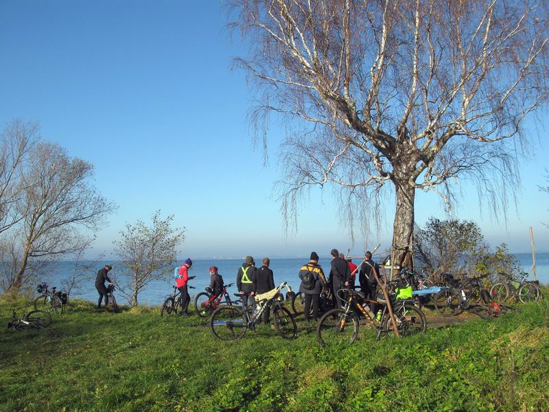 Остановка на солнечной поляне.
