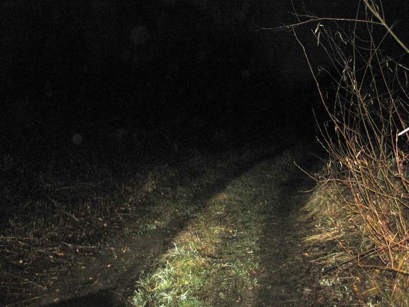 Свернули на грунты