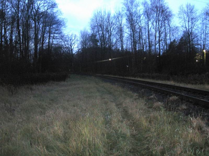 Едем по тропинке вдоль подъездного пути к Экопэту