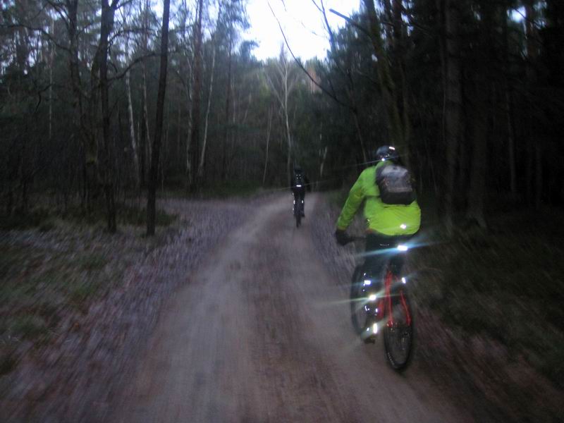 Едем по Городскому лесу