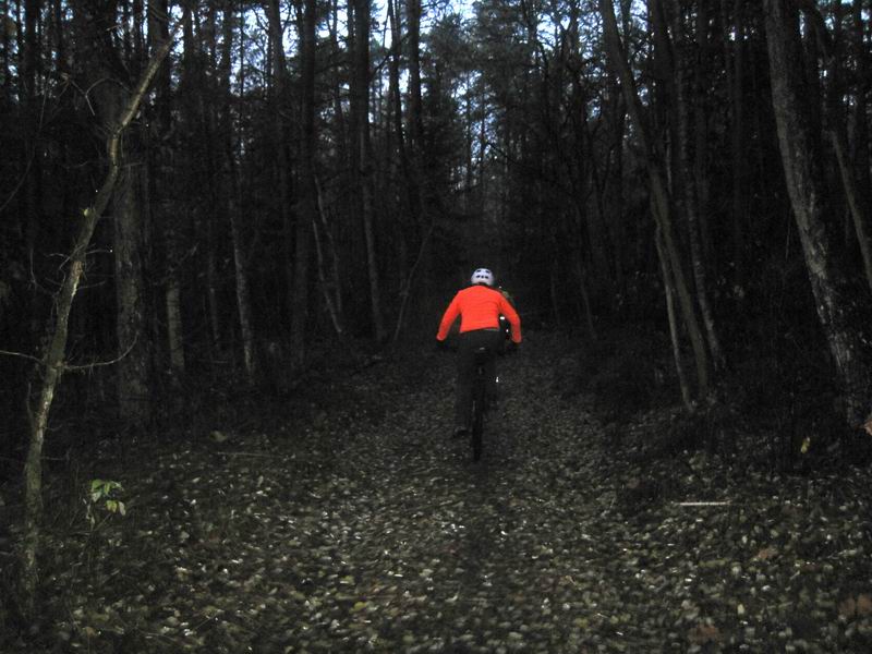 Едем по Городскому лесу