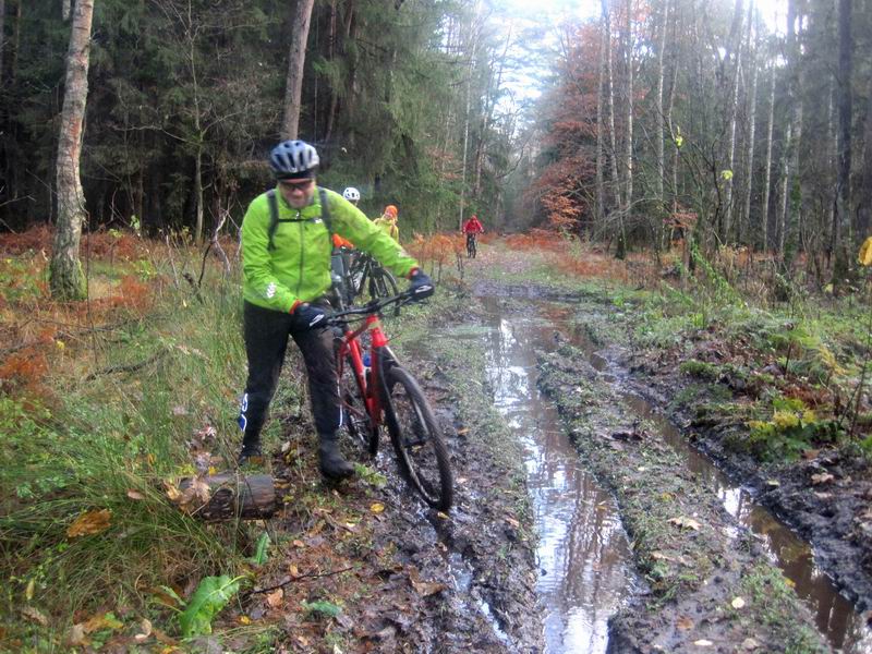 Небольшой гуаномесный участок