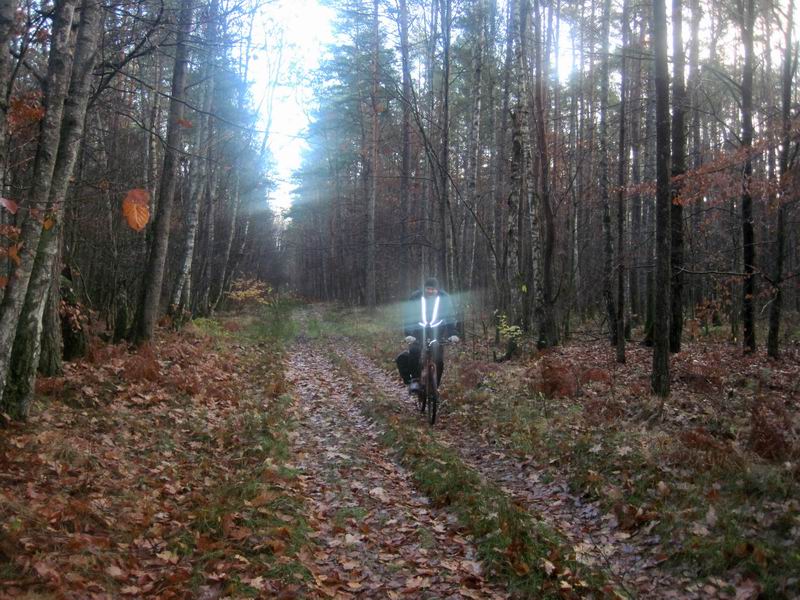 Фёдор Щербина в Балтийском лесу