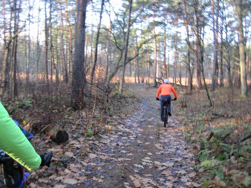 Подъезжаем к просеке