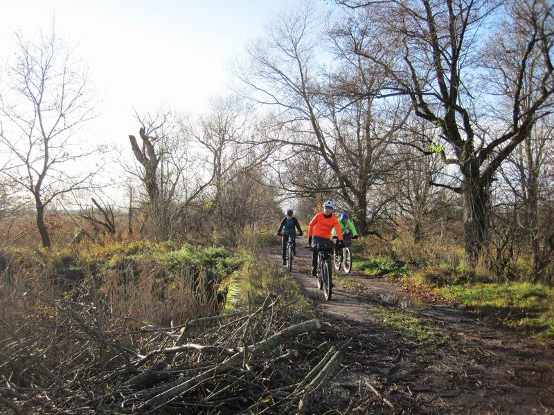 Александр Овчинников, Гаврил Зыков, Алексей Сажин