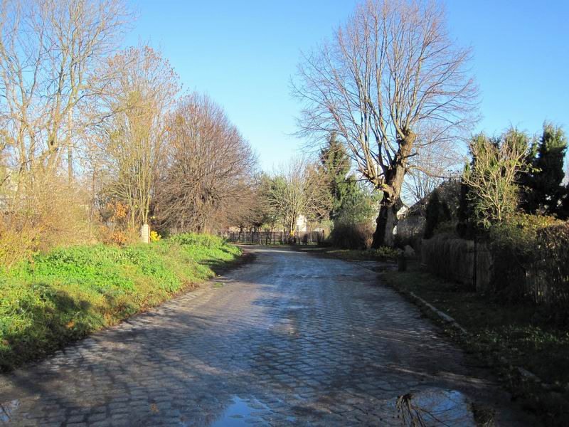 Улица Янтарная