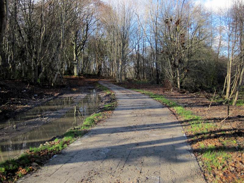 Участок из плитки