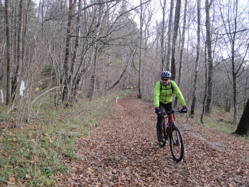 Андрей Кокоткин